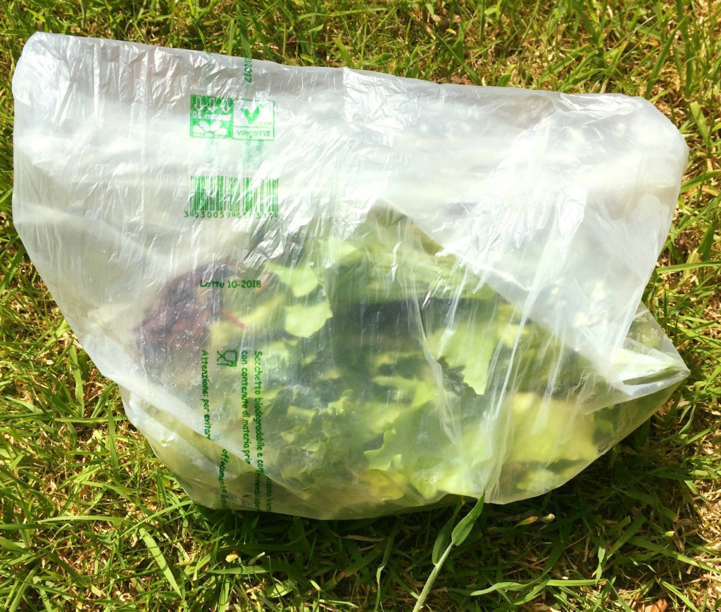Clear Compostable Bags
