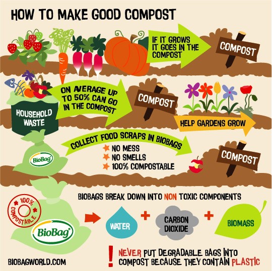 How to make good compost - infographic